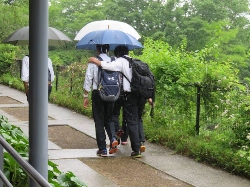 生憎の雨でした